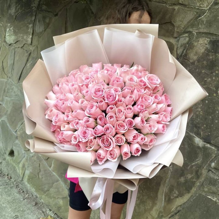 101 нежно-розовая роза Каролина  в Йошкар-Оле