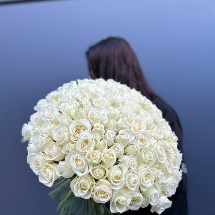 Охапка из 101 белой розы  в Йошкар-Оле