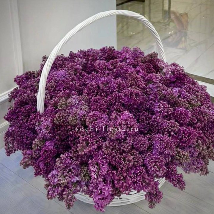 Корзина сирени в Йошкар-Оле