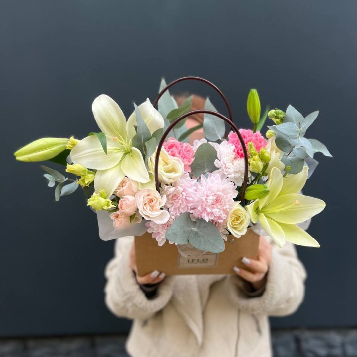  Сумочка "Полумесяц" в Йошкар-Оле