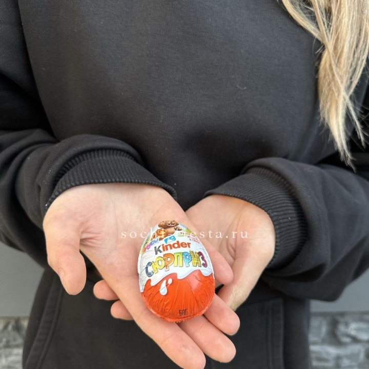 Яйцо "Киндер Сюрприз" в Йошкар-Оле