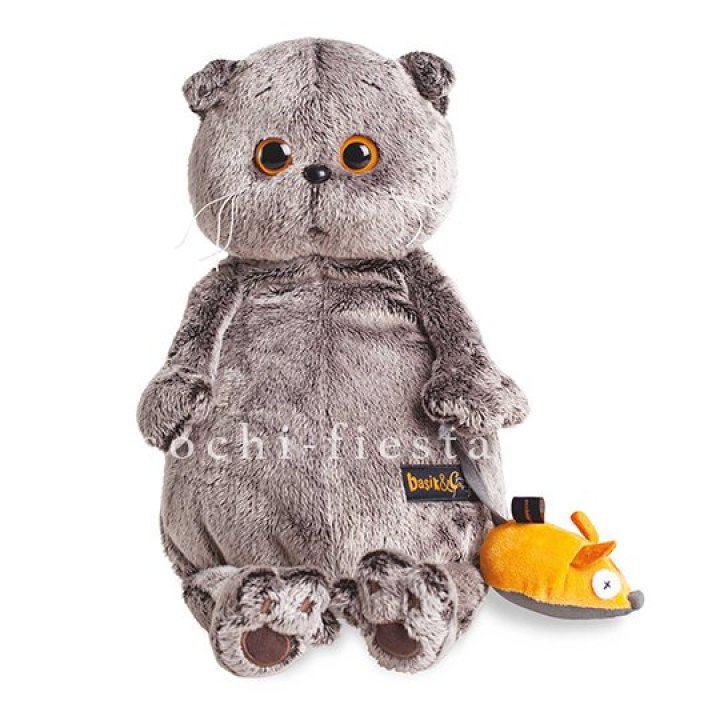 Кот Басик с мышкой в Йошкар-Оле