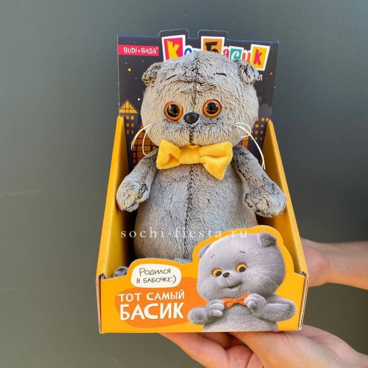 Кот Басик с бабочкой в Йошкар-Оле