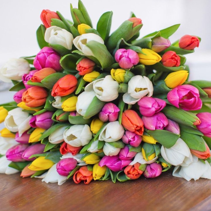 79 тюльпанов "Рандом" в Йошкар-Оле