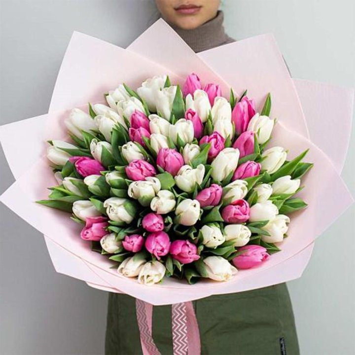 61 бело-розовый тюльпан в Йошкар-Оле