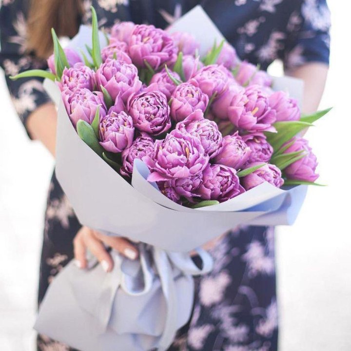 Тюльпаны "Пионс" в Йошкар-Оле