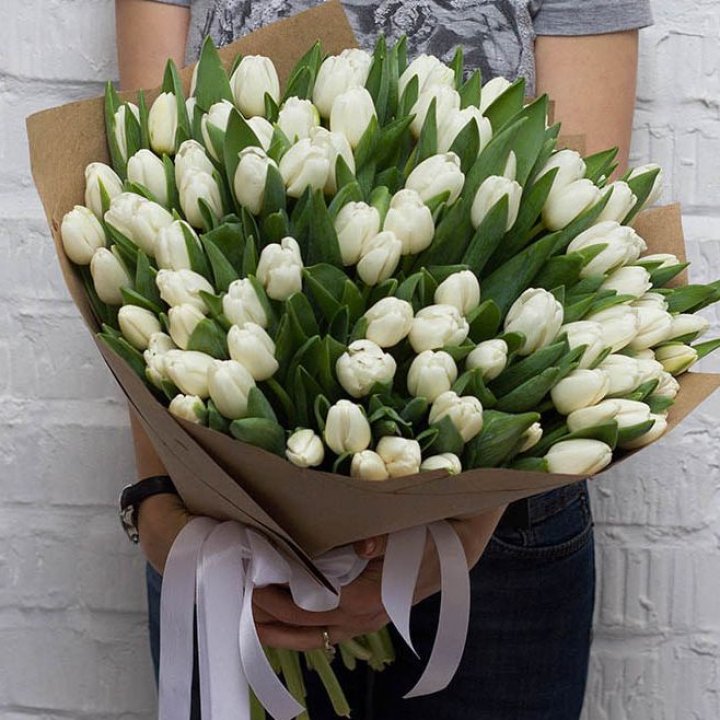 101 тюльпан сноу в Йошкар-Оле